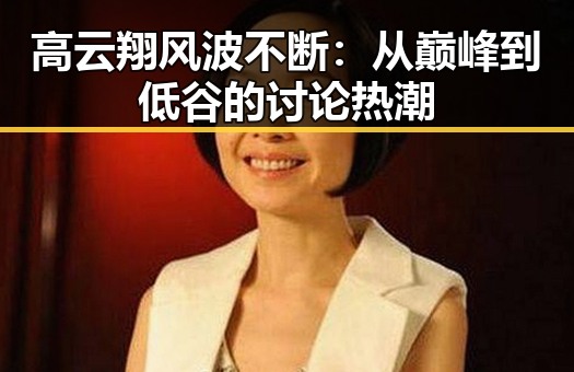 高云翔风波不断：从巅峰到低谷的讨论热潮